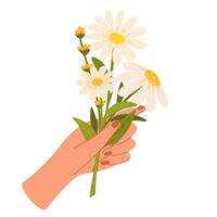 Hand holding flower bouquet. Spring garden flowers and summer daisies, wildflowers. Romantic floral decorative element isolated. Elegant summer gifts. Flat vector illustration.