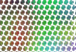 Light Multicolor, Rainbow vector pattern with curved circles.