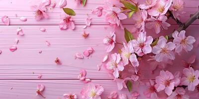 AI generated pink cherry blossoms with leaves on a pretty pink wood table photo