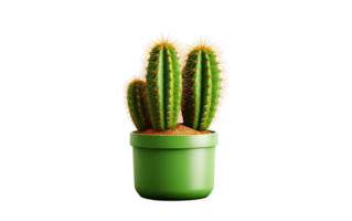 AI generated Cactus on White Transparent Background, PNG format
