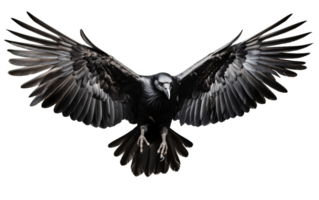 AI generated Isolated Crow in Flight on Transparent Background Generative AI png