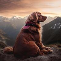 AI generated a dog sitting looking at the mountains photo