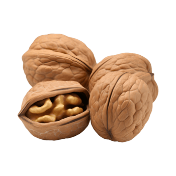 ai generato 3d interpretazione di un' Noci con le foglie su trasparente sfondo - ai generato png