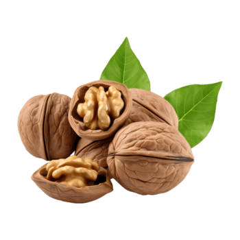 ai generato 3d interpretazione di un' Noci con le foglie su trasparente sfondo - ai generato png