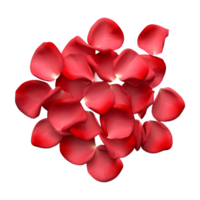 ai généré 3d le rendu de une rouge Rose pétales sur transparent Contexte - ai généré png