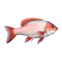 ai généré 3d le rendu de une magnifique coloré océan poisson sur transparent Contexte - ai généré png