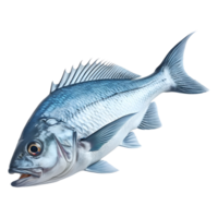 ai gerado 3d Renderização do uma lindo colorida oceano peixe em transparente fundo - ai gerado png