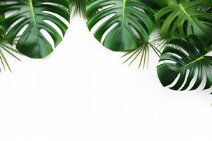 AI generated Photo green tropical palm leaves monstera on white background Generative AI