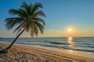 AI generated Sunny exotic beach by the ocean with palm trees at sunset summer vacation Generate AI photo