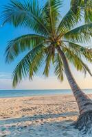 AI generated Sunny exotic beach by the ocean with palm trees at sunset summer vacation Generate AI photo