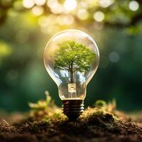 AI generated Photo tree growing on light bulb with sunshine generative AI