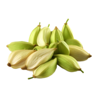 AI generated 3D Rendering of a Cardamom on Transparent Background - Ai Generated png