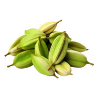 AI generated 3D Rendering of a Cardamom on Transparent Background - Ai Generated png