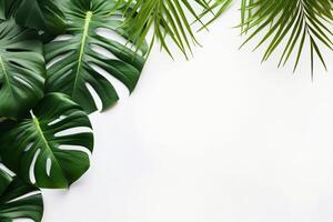 AI generated Photo green tropical palm leaves monstera on white background Generative AI