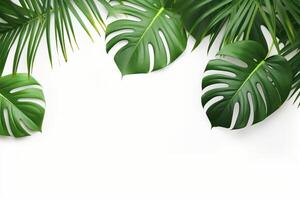 AI generated Photo green tropical palm leaves monstera on white background Generative AI