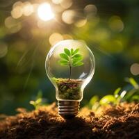 AI generated Photo tree growing on light bulb with sunshine generative AI