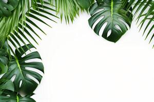 ai generado foto verde tropical palma hojas monstera en blanco antecedentes generativo ai