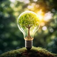 AI generated Photo tree growing on light bulb with sunshine generative AI