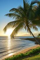ai generado soleado exótico playa por el Oceano con palma arboles a puesta de sol verano vacaciones generar ai foto