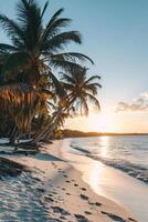 AI generated Sunny exotic beach by the ocean with palm trees at sunset summer vacation Generate AI photo