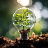 ai generado foto árbol creciente en ligero bulbo con Brillo Solar generativo ai