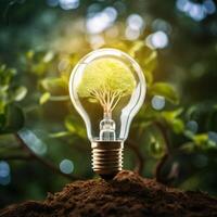 AI generated Photo tree growing on light bulb with sunshine generative AI