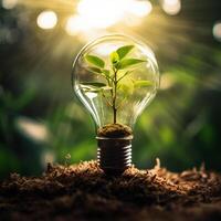 AI generated Photo tree growing on light bulb with sunshine generative AI