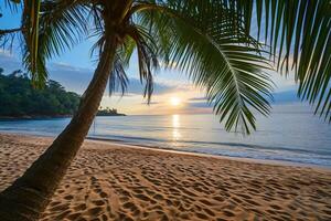 AI generated Sunny exotic beach by the ocean with palm trees at sunset summer vacation Generate AI photo