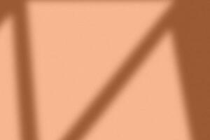 Organic drop window shadow on a Peach Fuzz color wall. Overlay effect for photo. Scene of natural lighting. Shadow overlay effect. photo