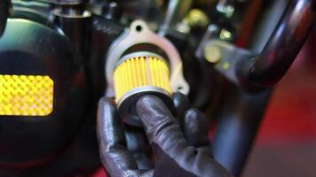 automóvil mecánica hombre cambio el motocicleta petróleo filtrar, poner nuevo petróleo filtros en motos para mantenimiento video