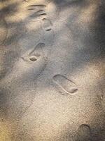 Sand Texture with Human Footprints Along a Summer Beach Shoreline photo