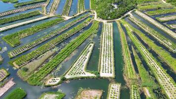 a Neretva vale é a rio delta do a Neretva, uma rio este fluxos através Bósnia e herzegovina e Croácia e vazios para dentro a adriático mar. video