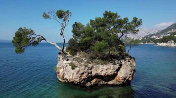 el símbolo de brela, el Brela Roca. esta rock en el mar, descuidado con pinos, muestra el fuerza y poder de supervivencia y crecimiento desde el Roca sí mismo. natural belleza. video