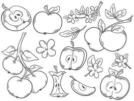 Ink sketch apples set, vector illustration