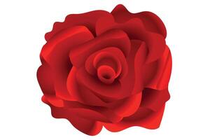 Red Rose. Design element isolated on white. vector