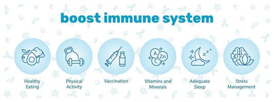 refuerzos para el humano inmune sistema. sano comiendo, vitaminas, minerales, adecuado dormir, físico actividad, mental salud. vector ilustración en un azul antecedentes.