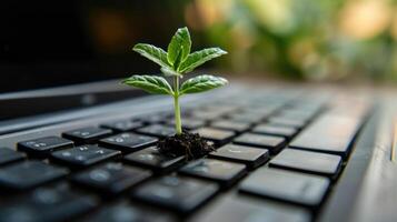 AI generated Generative AI, Plant growing from the laptop keyboard. Ecology and environment concept photo