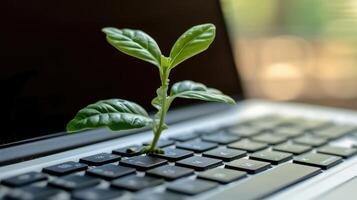 AI generated Generative AI, Plant growing from the laptop keyboard. Ecology and environment concept photo