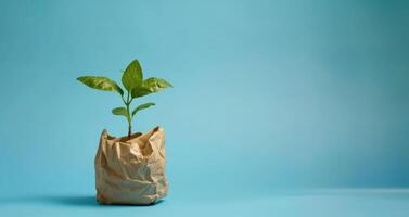 ai generado generativo ai, planta brote con verde hojas creciente desde reciclado papel. ecológico, cero desperdiciar, el plastico gratis y ambiente concepto foto