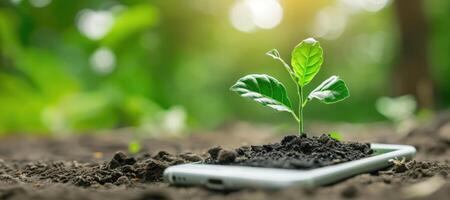 AI generated Generative AI, Plant growing from the smartphone screen. Ecology and environment concept photo