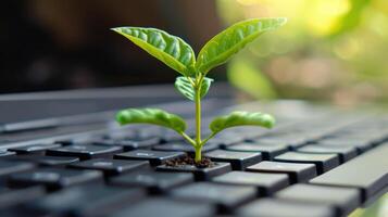 ai generado generativo ai, planta creciente desde el ordenador portátil teclado. ecología y ambiente concepto foto