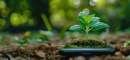 AI generated Generative AI, Plant growing from the smartphone screen. Ecology and environment concept photo