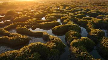 ai generado generativo ai, aéreo ver de laberinto vías fluviales, zumbido foto, hermosa paisaje foto