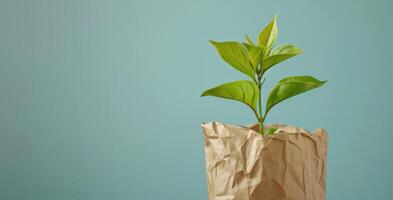 ai generado generativo ai, planta brote con verde hojas creciente desde reciclado papel. ecológico, cero desperdiciar, el plastico gratis y ambiente concepto foto