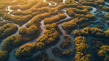 AI generated Generative AI, aerial view of labyrinth waterways, drone photo, beautiful landscape photo