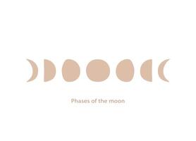 All phases of the moon in a hand-drawn style. vector