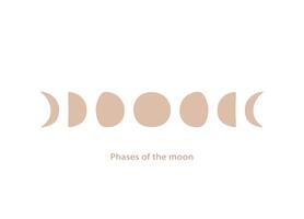 All phases of the moon in a hand-drawn style. vector