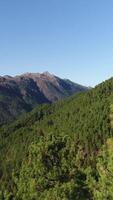 verticale video di montagna foresta aereo Visualizza