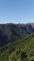 verticale vidéo de Montagne forêt aérien vue video