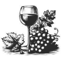 Grape wine with glass hand drawn vintage engraving style black and white clip art isolated on white background vector